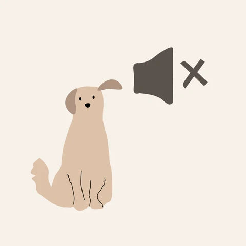 SHOP SILENT PLAY